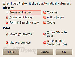 Firefox 5 History Settings