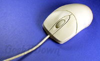 Access Information Mouse